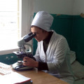 https://www.kulinskayacrb.ru/uploads/images/specialist/abdullaeva_miyasat.jpg